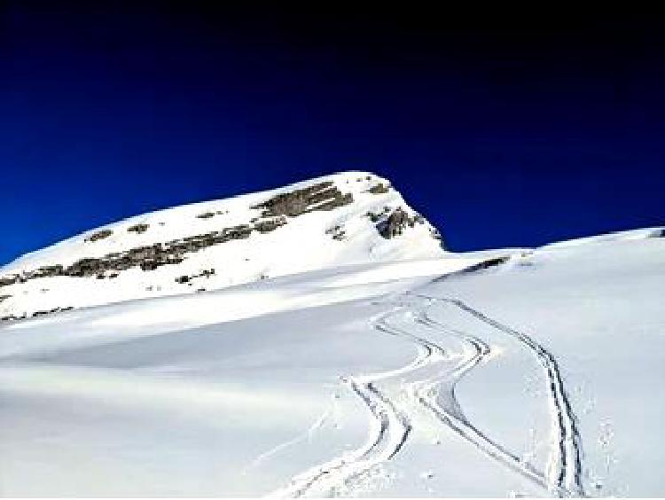 Роль альпийских спасательных команд в обеспечении безопасности альпинизма