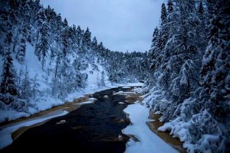 Альпийские отражения: Съемка зеркальных пейзажей